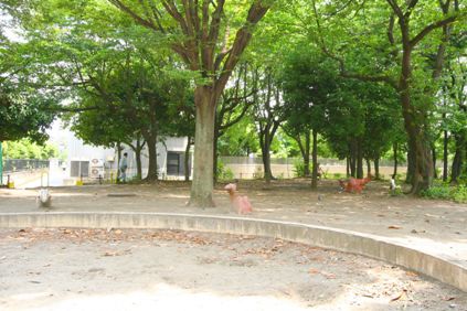 井田公園:画像1